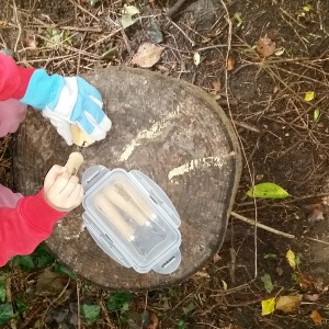 child drilling at Forest school with palm drill